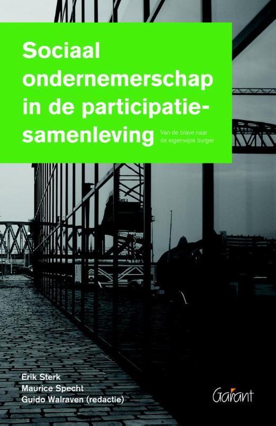 Sociaal ondernemerschap in de participatiesamenleving