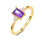 Twice As Nice Ring in 18kt verguld zilver, baguette zirkonia, amethyst kleur, 2 zirkonia 56