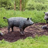 Bronzen Beeld:  Wild varken