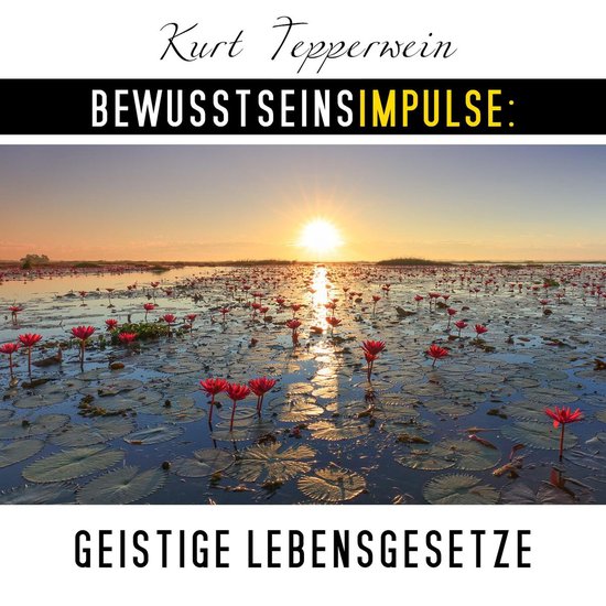 Bewusstseinsimpulse: Geistige Lebensgesetze - cover