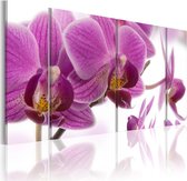 Schilderijen Op Canvas - Schilderij - Marvelous orchid 120x60 - Artgeist Schilderij