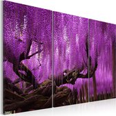 Schilderijen Op Canvas - Schilderij - Wisteria 90x60 - Artgeist Schilderij