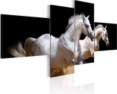 Schilderijen Op Canvas - Schilderij - Animal world- white horses galloping 200x90 - Artgeist Schilderij