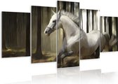 Schilderijen Op Canvas - Schilderij - Horse running 100x50 - Artgeist Schilderij