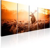Schilderijen Op Canvas - Schilderij - Deer at Sunset 225x90 - Artgeist Schilderij