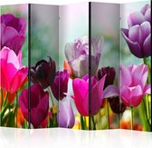 Kamerscherm - Scheidingswand - Vouwscherm - Beautiful Tulips II [Room Dividers] 225x172 - Artgeist Vouwscherm