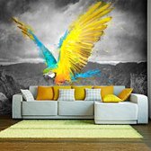 Fotobehang – Behangpapier - Fotobehang - Exotic parrot 350x270 - Artgeist