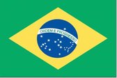 vlag Brazilie 30x45cm