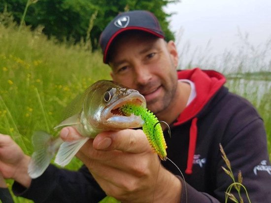 Fox Rage Spikey shad - 6 cm - Lemon Tiger van Fox Rage — afbeelding 5