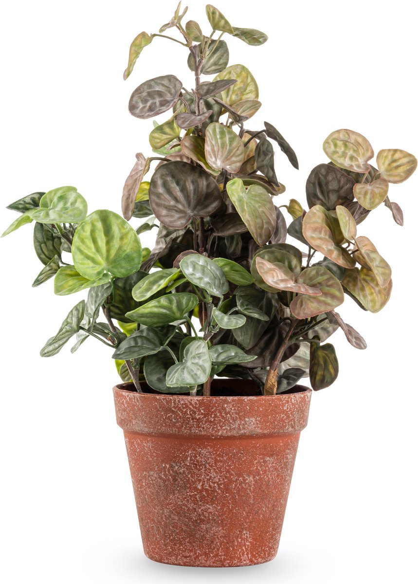Kunstplant Peperomia 35 cm | NeverLeafs