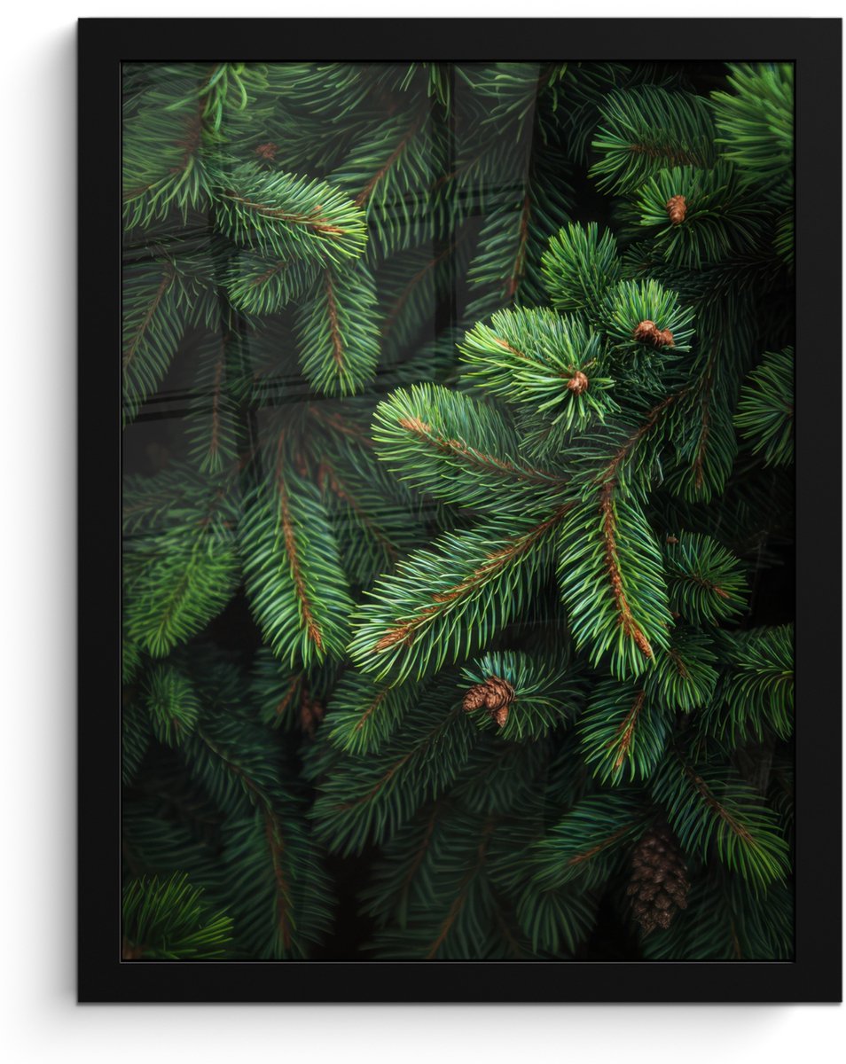FrameYourWall Poster in lijst - Fotolijst 30x40 cm - Posters - Sparrentakken - Knoppen - Naalden - Groen - Posterlijst zwart - Decoratie - Wanddecoratie woonkamer - Muurdecoratie slaapkamer