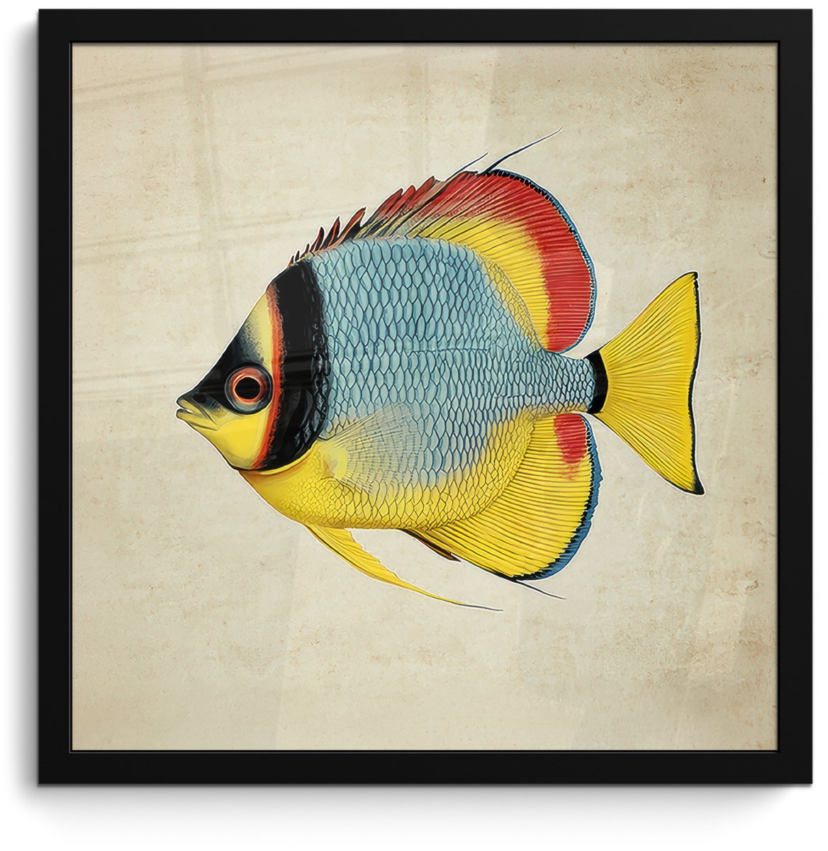 FrameYourWall Poster in lijst - Fotolijst 40x40 cm - Posters - Kleurrijk - Vis - Schubben - Illustratie - Posterlijst zwart - Decoratie - Wanddecoratie woonkamer - Muurdecoratie slaapkamer Vis - Kleurrijk