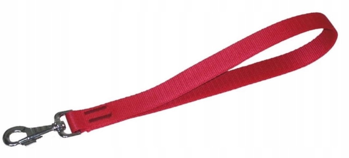 DINGO Korte Rood Hondenlijn met Handvat (2,5 x 40 cm)