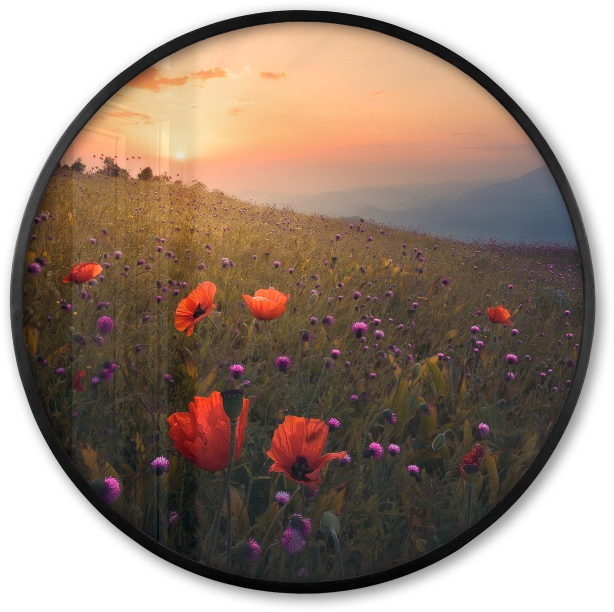 FrameYourWall Poster in lijst Rond - Fotolijst 60x60 cm - Posters - Bloemenveld - Gras - Bloemen - Planten - Zonsondergang - Oranje - Ronde posterlijst zwart - Decoratie - Wanddecoratie woonkamer - Muurdecoratie slaapkamer Multicolor