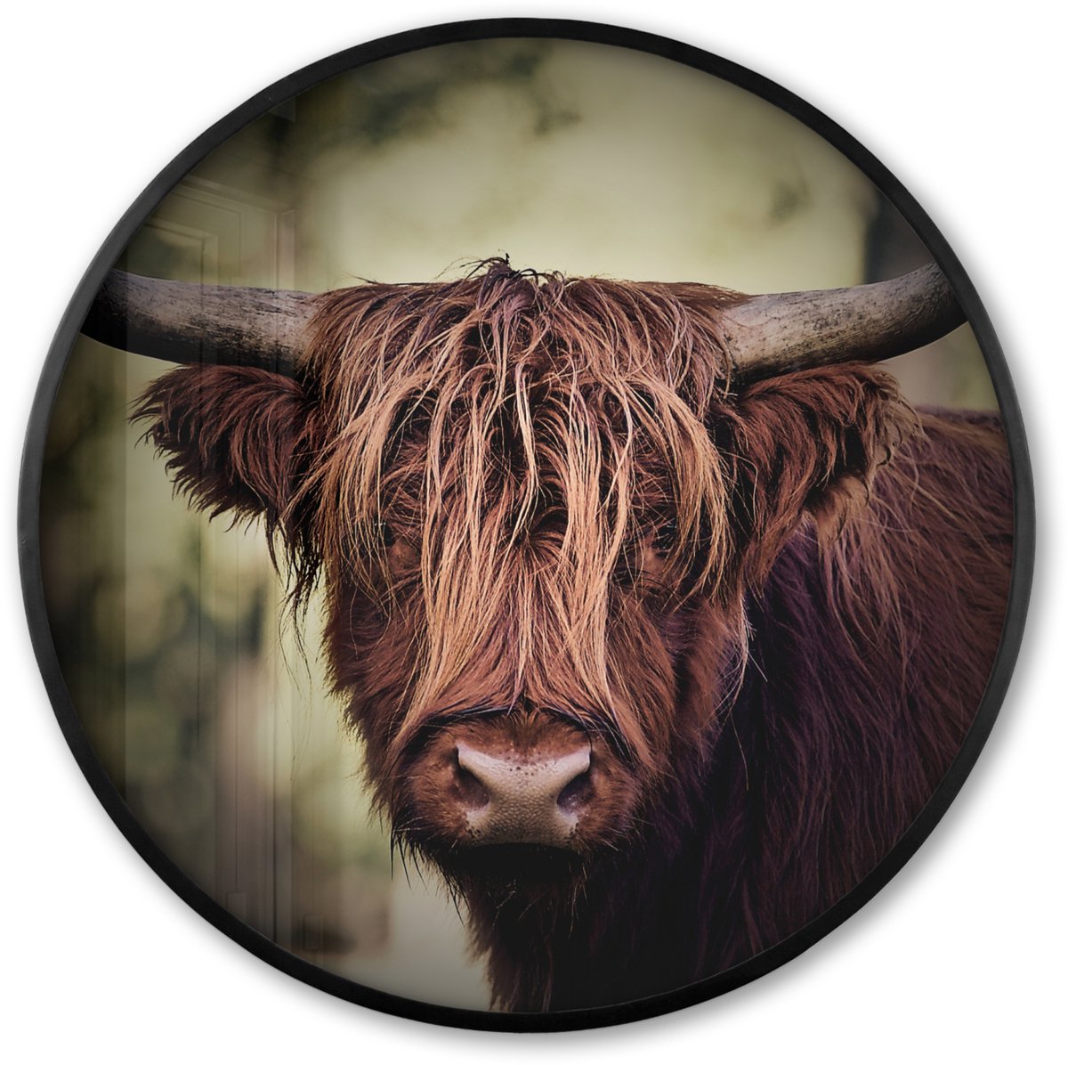 FrameYourWall Poster in lijst Rond - Fotolijst 80x80 cm - Posters - Schotse hooglander - Licht - Portret - Natuur - Ronde posterlijst zwart - Decoratie - Wanddecoratie woonkamer - Muurdecoratie slaapkamer