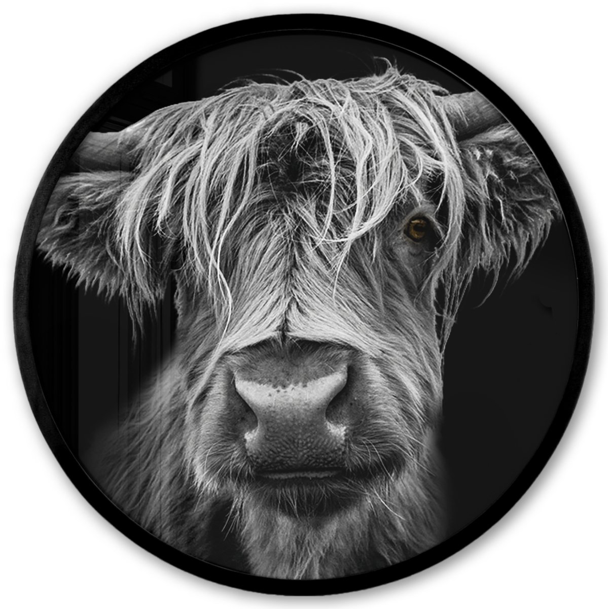 FrameYourWall Poster in lijst Rond - Fotolijst 40x40 cm - Posters - Schotse Hooglander - Horens - Zwart - Wit - Koe - Wild - Dieren - Ronde posterlijst zwart - Decoratie - Wanddecoratie woonkamer - Muurdecoratie slaapkamer Schotse Hooglander - Portret