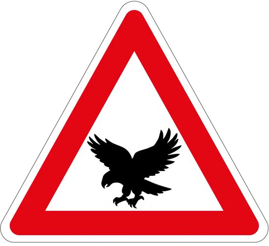 Cartello Proprietà Privata - Divieto Di Accesso E Transito A Proprio Rischio. In Alluminio Dibond, Misura 30x20 Cm, Con Pittogramma. Ideale Per Cancelli, Recinzioni, Ingressi.