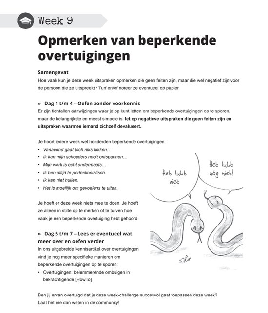 NLP Praktijk Doe Boek - #1 NLP Werkboek XL - Neurolinguïstisch Programmeren - Voor Relaties, Ouders, Communicatie, Persoonlijke Ontwikkeling, Dummies, Werk & Privé [Inclusief Meegeleverde NLP Kwaliteitenkaarten]
