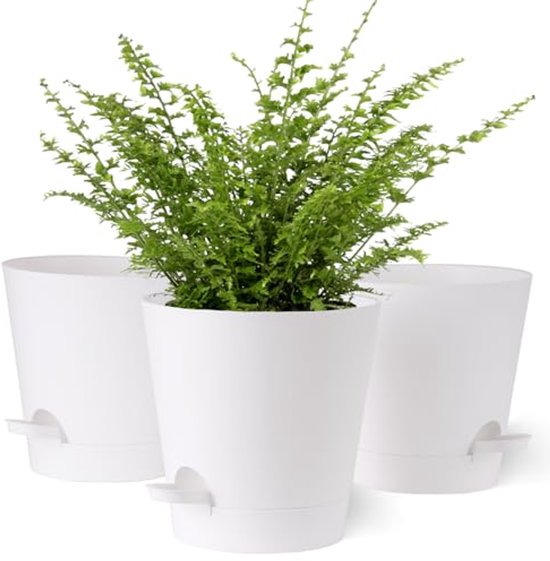 Mineup Bloempotset, 6 stuks, 10 cm hoogwaardige kunststof bloempotten