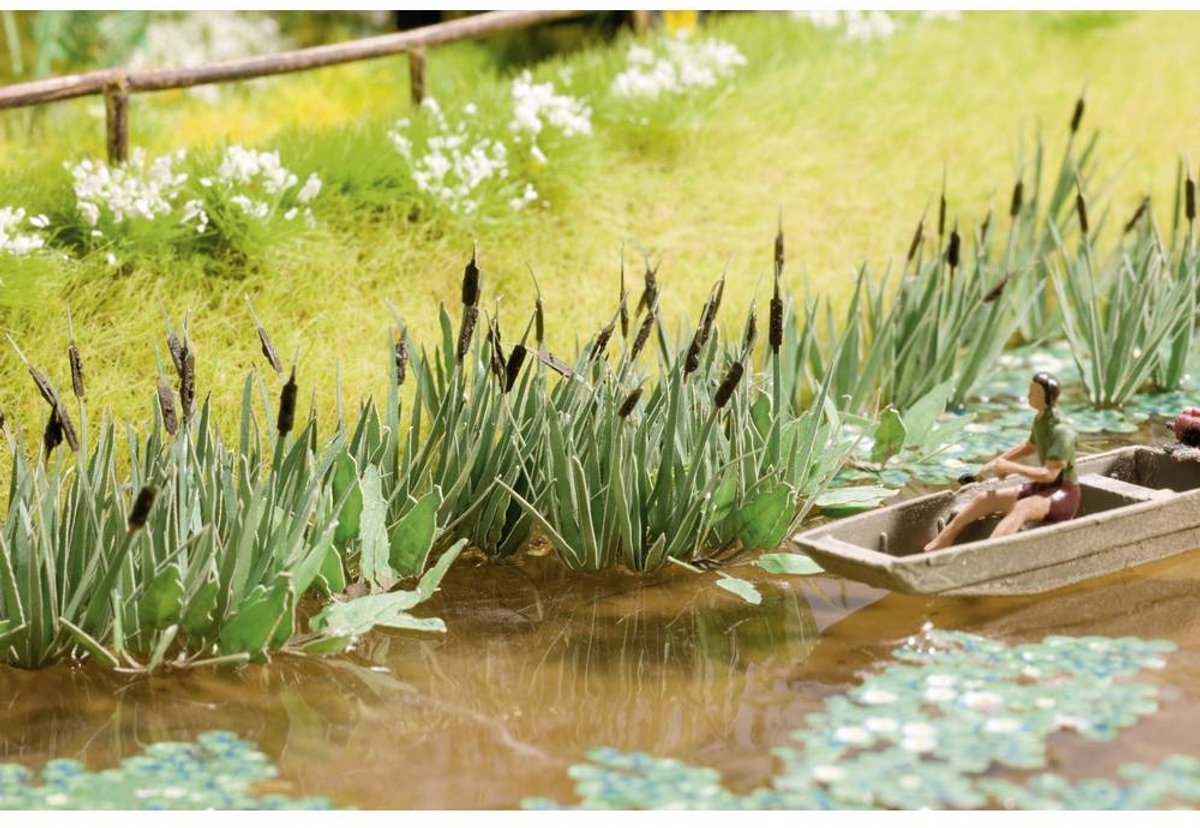 Riet