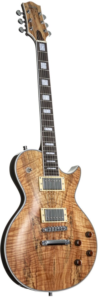Fame Custom LP RW Nature - Single-cut elektrische gitaar