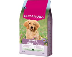 Eukanuba Puppy Large Breed Lam&Rijst - Hondenbrokken - 12 kg