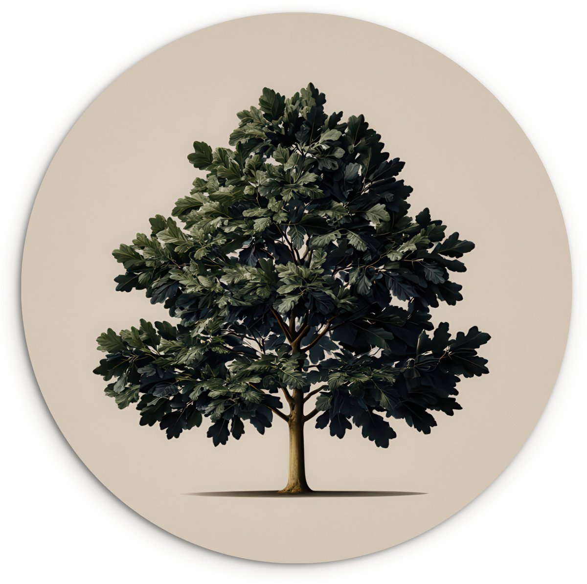 WallCircle Wandcirkel 60x60 cm - Muurcirkel Eikenboom - Schaduw - Egaal - Muurdecoratie woonkamer - Wanddecoratie slaapkamer - Kamer decoratie accessoires - Ronde schilderijen Eikenboom - Egaal