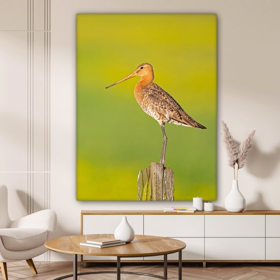 Toile - Tableau - Vogel - Animaux - Barge à queue noire - Perche - Vert - Peintures sur toile - Photo sur toile - 120x160 cm - Décoration murale - Salon