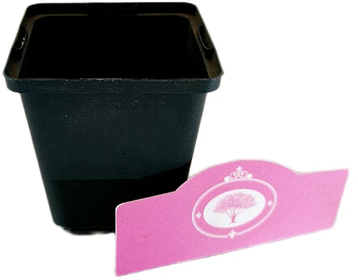 Kweekpot laag P9 - 9x9x10cm, 0,7 liter - 25 stuks