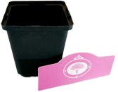 Pot de culture Low P9 - 9x9x10cm, 0 litre - 25 pièces
