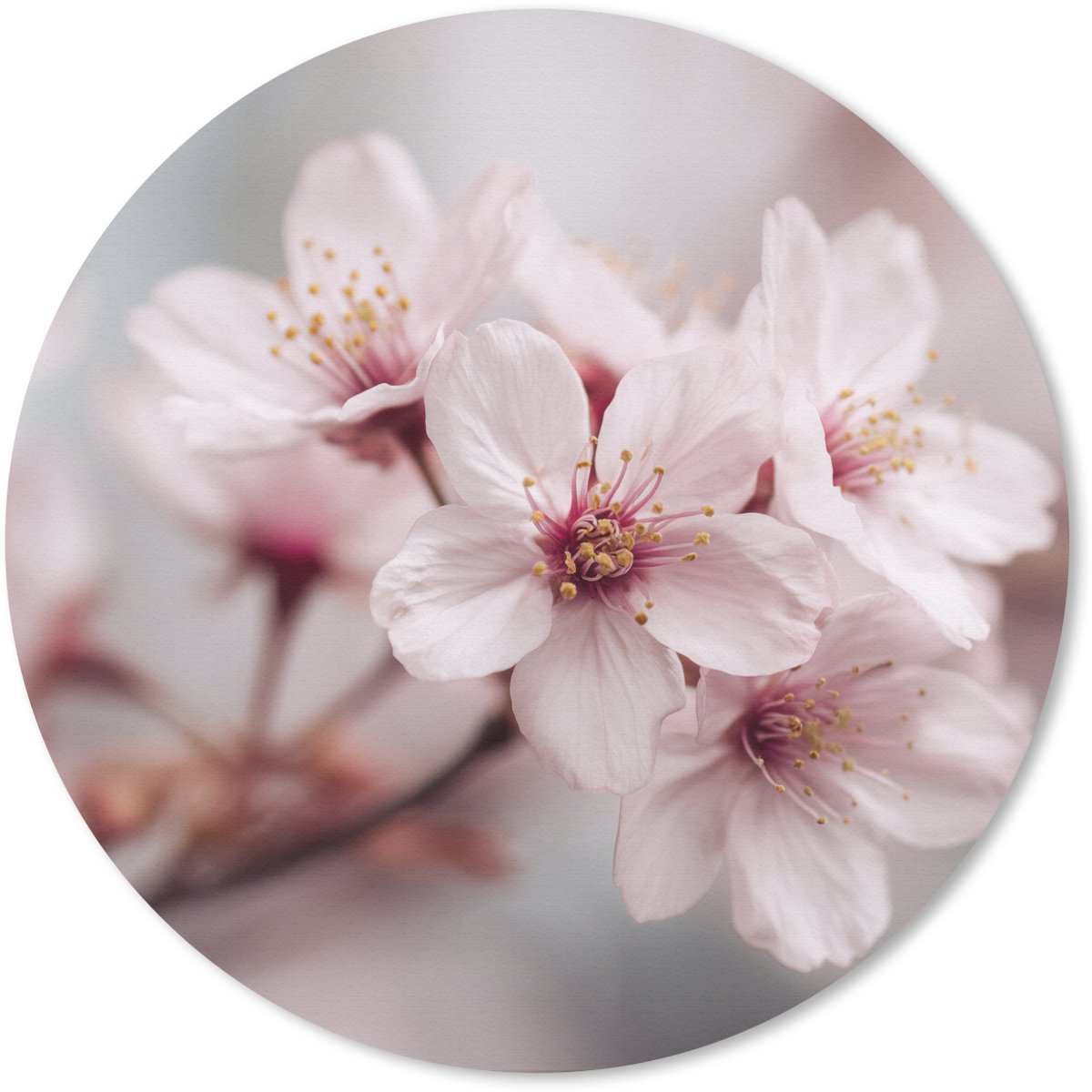 Muismat rond 30x30 cm - Mousepad Bloesems - Meeldraden - Geel - Wazig - Ronde muismatten