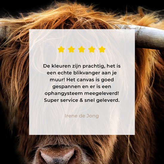 Canvas schilderij - Schotse hooglander 120x80 - Kamer decoratie accessoires - Zwarte schilderijen woonkamer dieren - Wanddecoratie koe slaapkamer - Muurdecoratie keuken zwart - Wanddoek interieur - Woondecoratie huis - Woonaccessoires