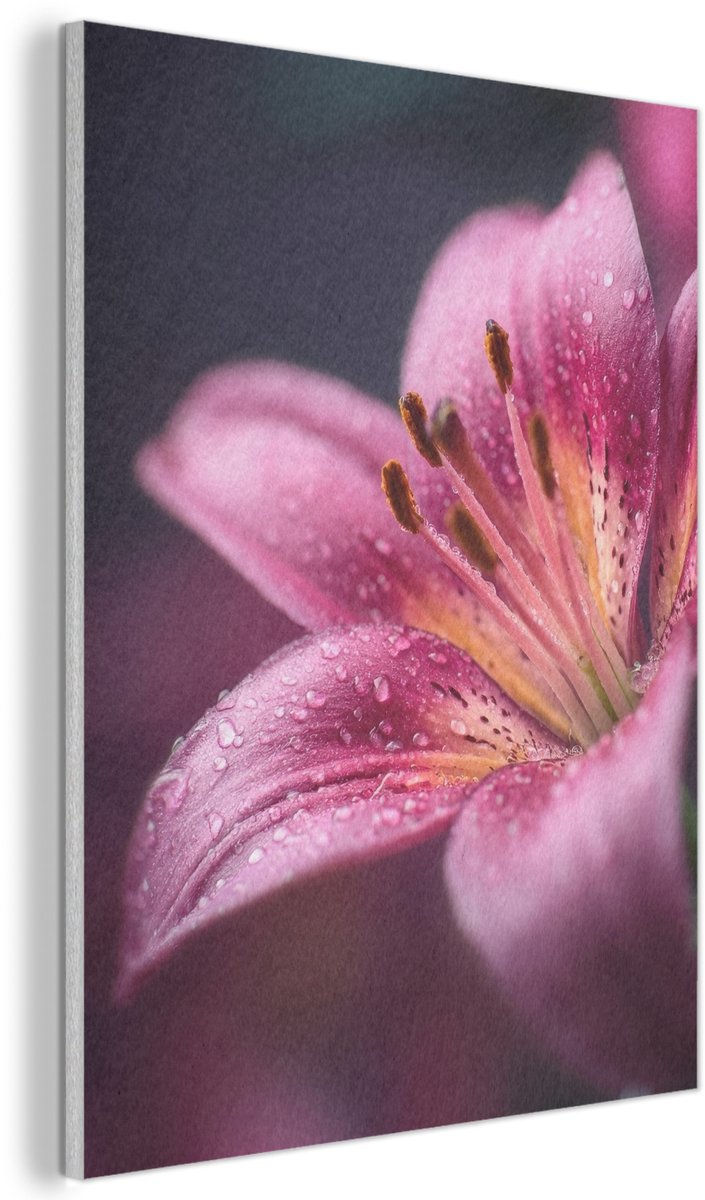 Akoestisch wandpaneel 60x80 cm - Vilt schilderij Roze - lelie - Dauwdruppels - Akoestische panelen - Geluidsdempende wanddecoratie - Geluidsisolatie woonkamer - Muurdecoratie geluidspanelen