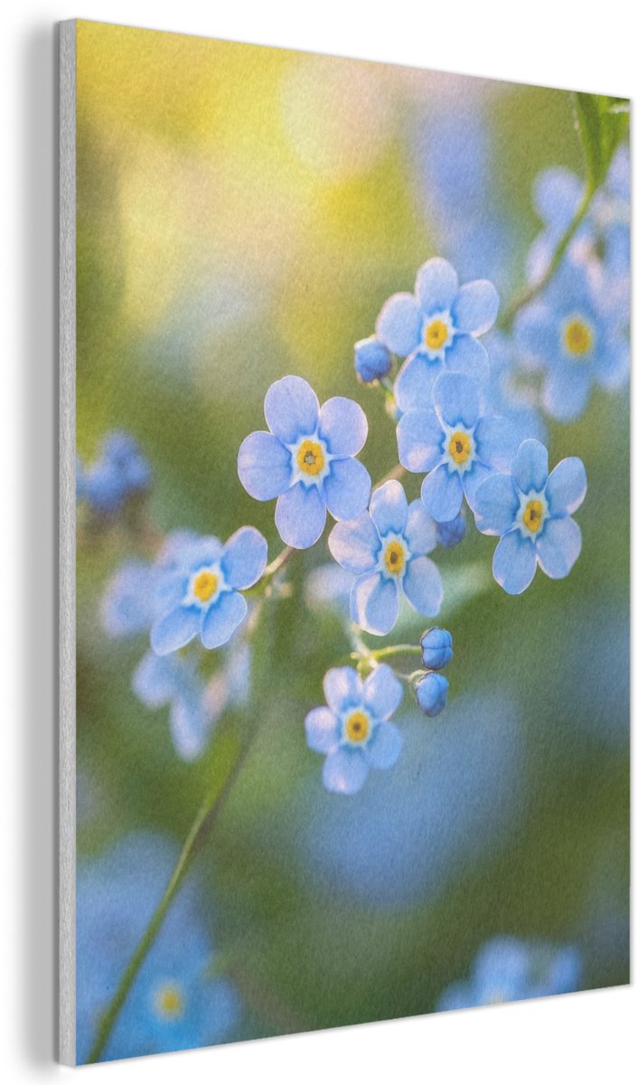 Akoestisch wandpaneel 50x70 cm - Vilt schilderij Bloemetjes - Blauw - Vergeet mij nietjes - Akoestische panelen - Geluidsdempende wanddecoratie - Geluidsisolatie woonkamer - Muurdecoratie geluidspanelen