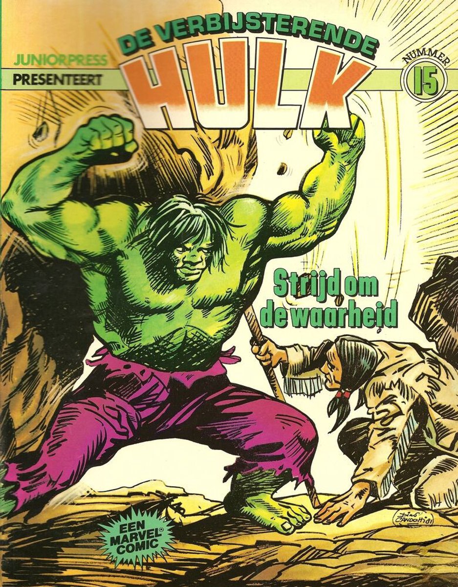 Omslag van De verbijsterende Hulk no 15 - Strijd om de waarheid