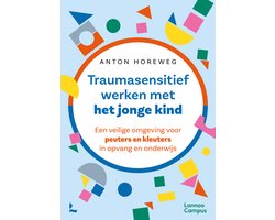 foto van Traumasensitief werken met het jonge kind