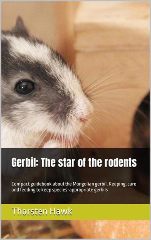 Gerbil: The star of the rodents - cover