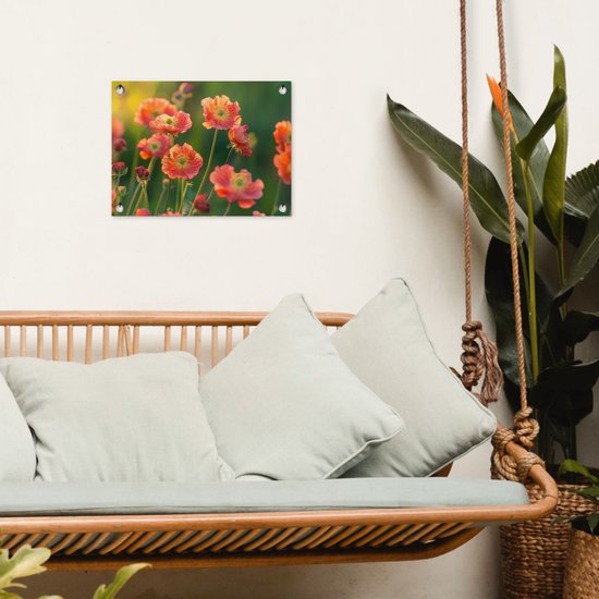 Tuinposter 40x30 cm - Tuindecoratie Bloemenveld - Zonnestralen - Oranje - Poster voor in de tuin - Buiten decoratie - Schutting tuinschilderij - Tuindoek muurdecoratie - Wanddecoratie balkondoek