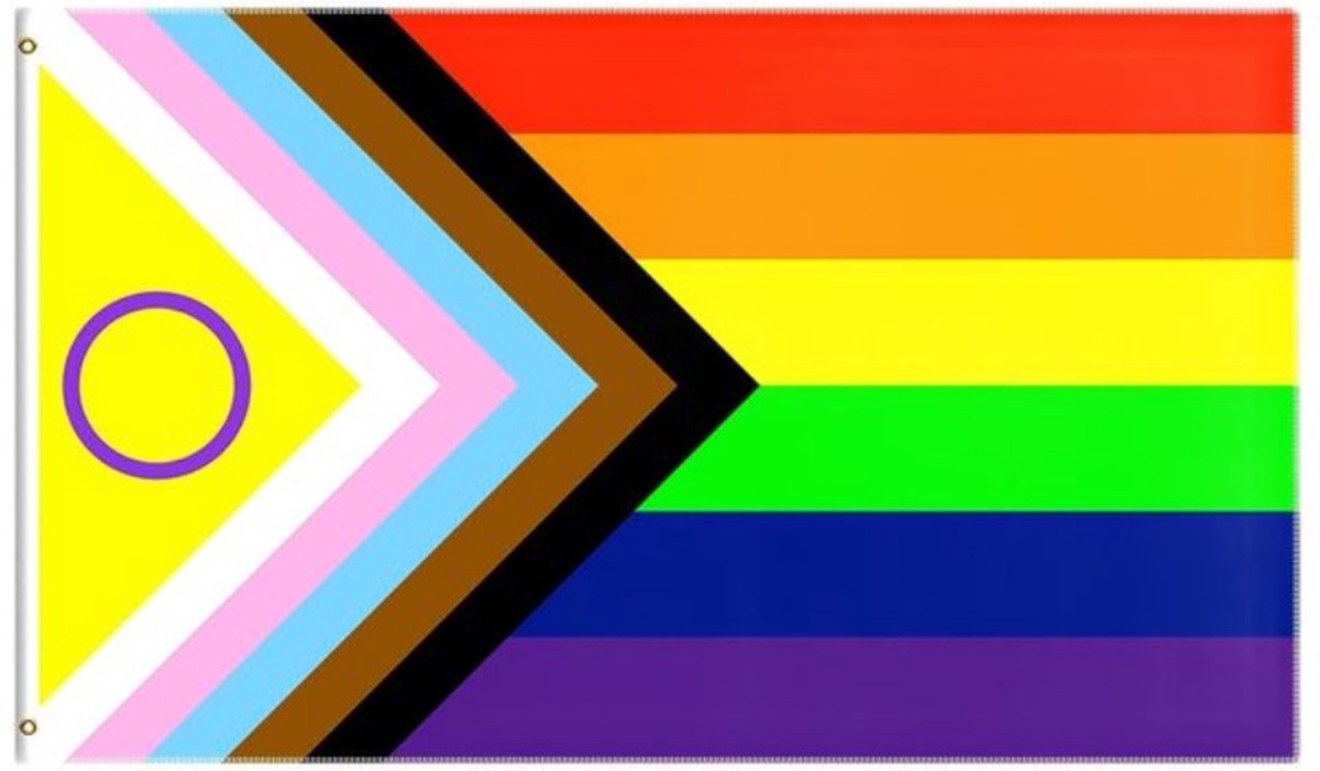 Jonyx - Regenboogvlag - LGBTQ - LHTBI - Progress Pride - Intersex - Inclusiviteit - 150x90cm - Polyester - Multicolor