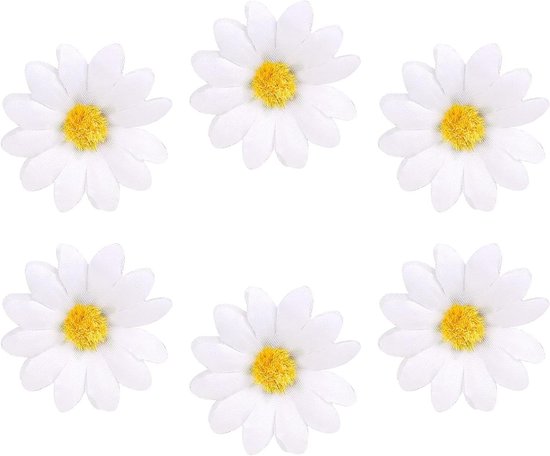 Het Meisje Met Lang Haar Die Een Kroon Van Madeliefjes Op Het Gebied Dragen 55289178