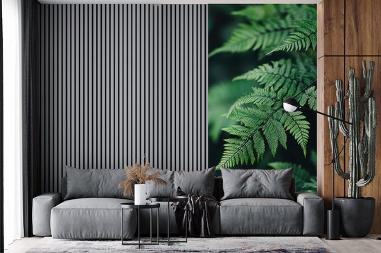 Behang - Fotobehang Varenblad - Groen - Structuur - Wazig - Breedte 120 cm x hoogte 240 cm