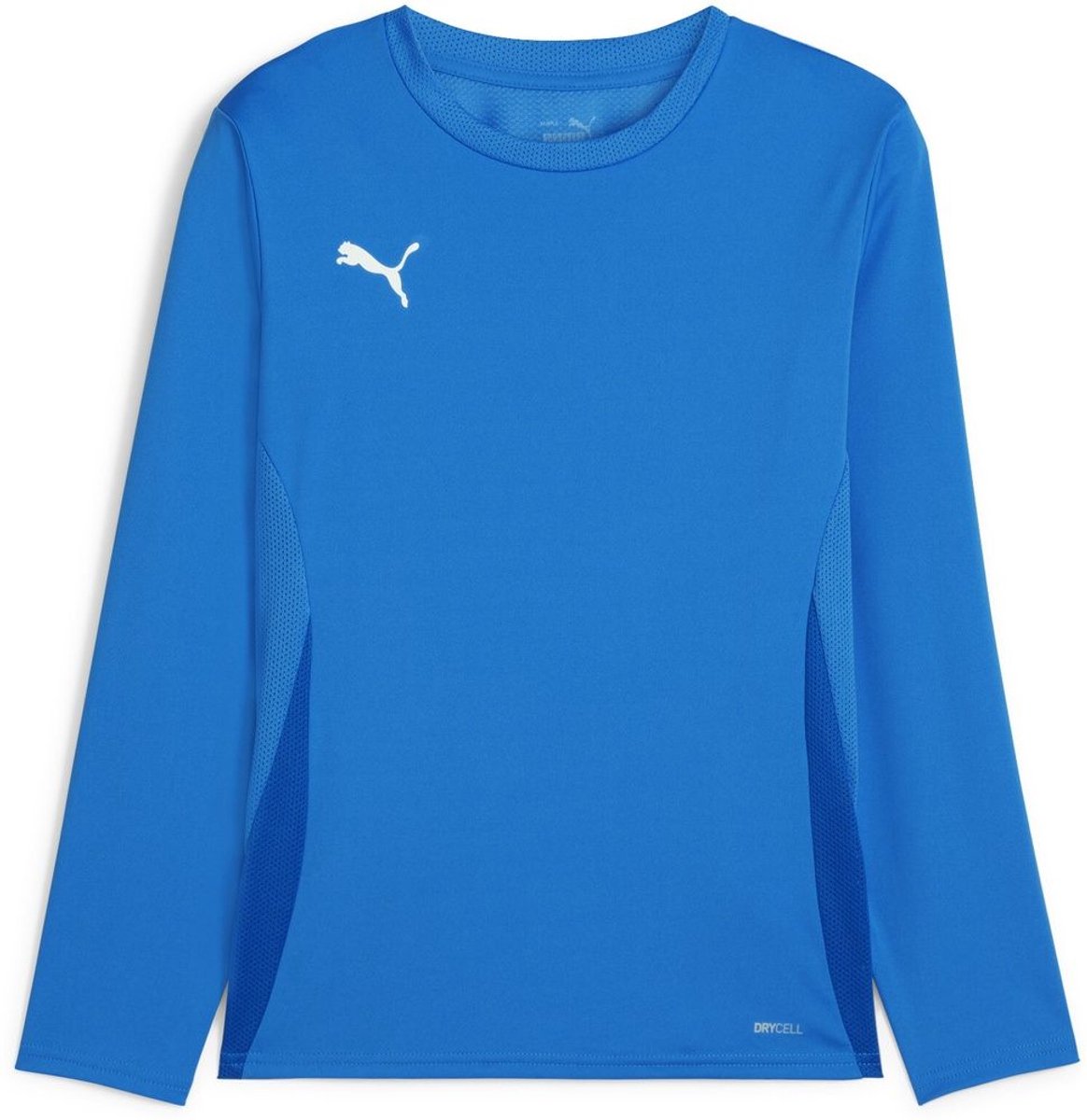 Puma TeamGoal-shirt met lange mouwen voor kinderen Jr 705751 Blauw