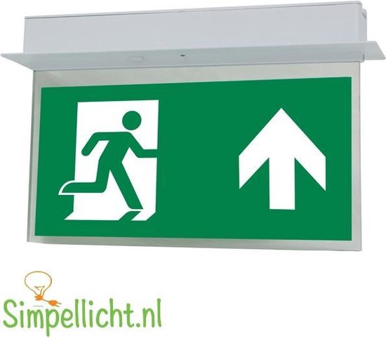 Noodverlichting wand opbouw IP65 LED 185lm met pictogrammen