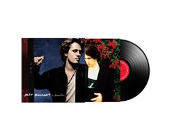 Omslag van In Transition