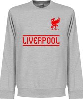 Liverpool Team Sweater - Grijs - XXL