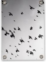 Villa Madelief | Tuinposter Vogels zwart wit | 50x70cm | Vinyl | Tuindecoratie | Tuinschilderij