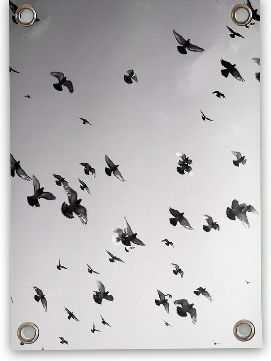 Villa Madelief Garden poster oiseaux noir et blanc (50x70cm) extérieur jardin peinture oiseaux vinyle