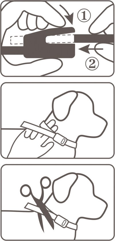 Beaphar Canishield Parasietenband Hond - Anti vlooien en tekenmiddel - per stuk L