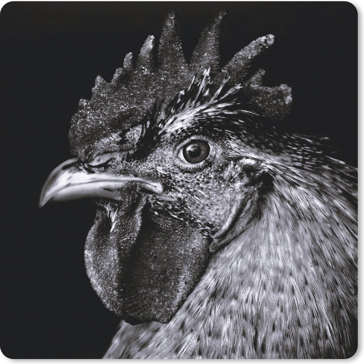 Muismat 30x30 cm - Mousepad Haan - Vogel - Zwart - Wit - Muismatten
