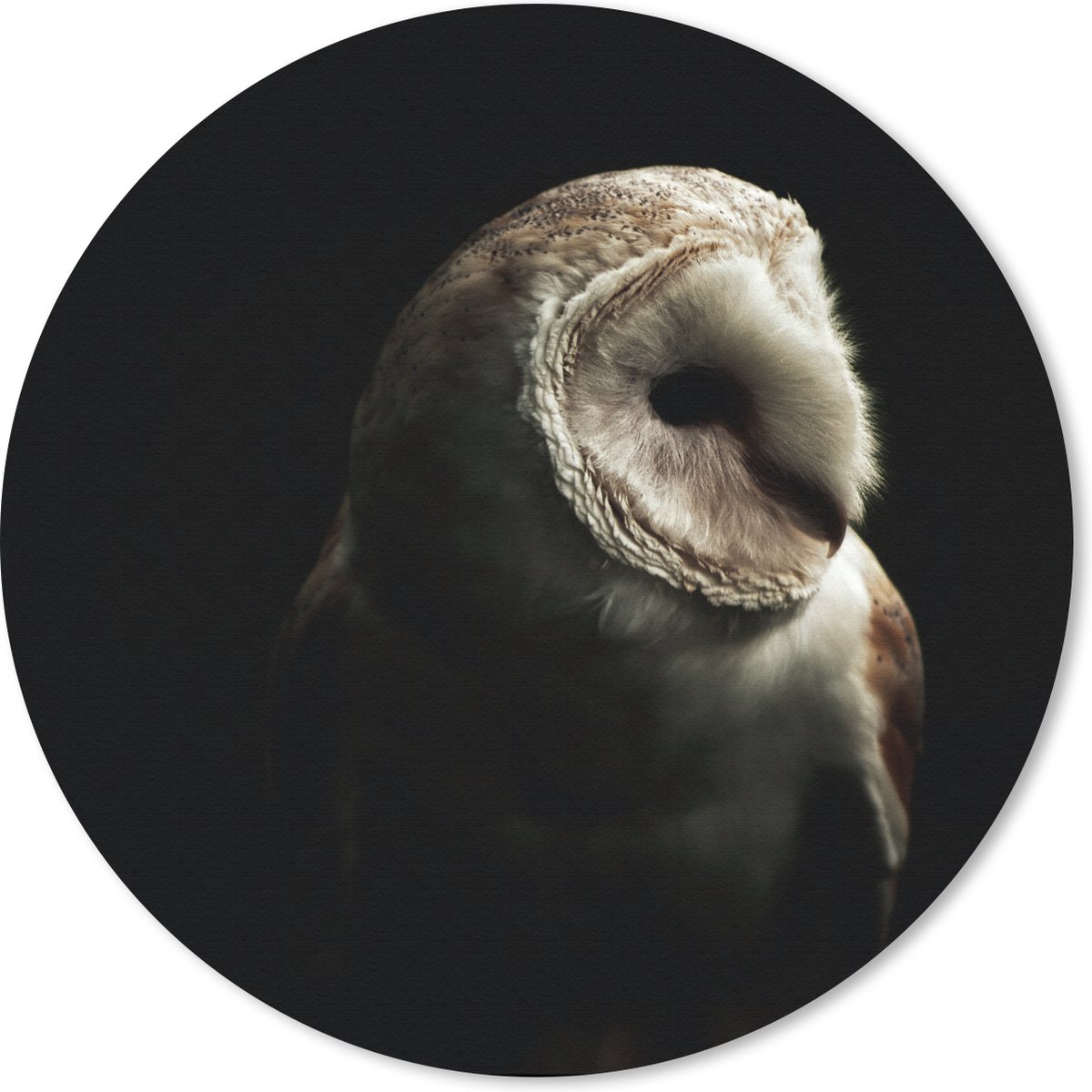 Muismat rond 20x20 cm - Mousepad Uil - Vogel - Portret - Ronde muismatten